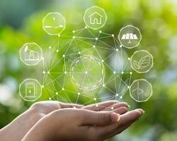 L'Importance des Études d'Impact Environnemental